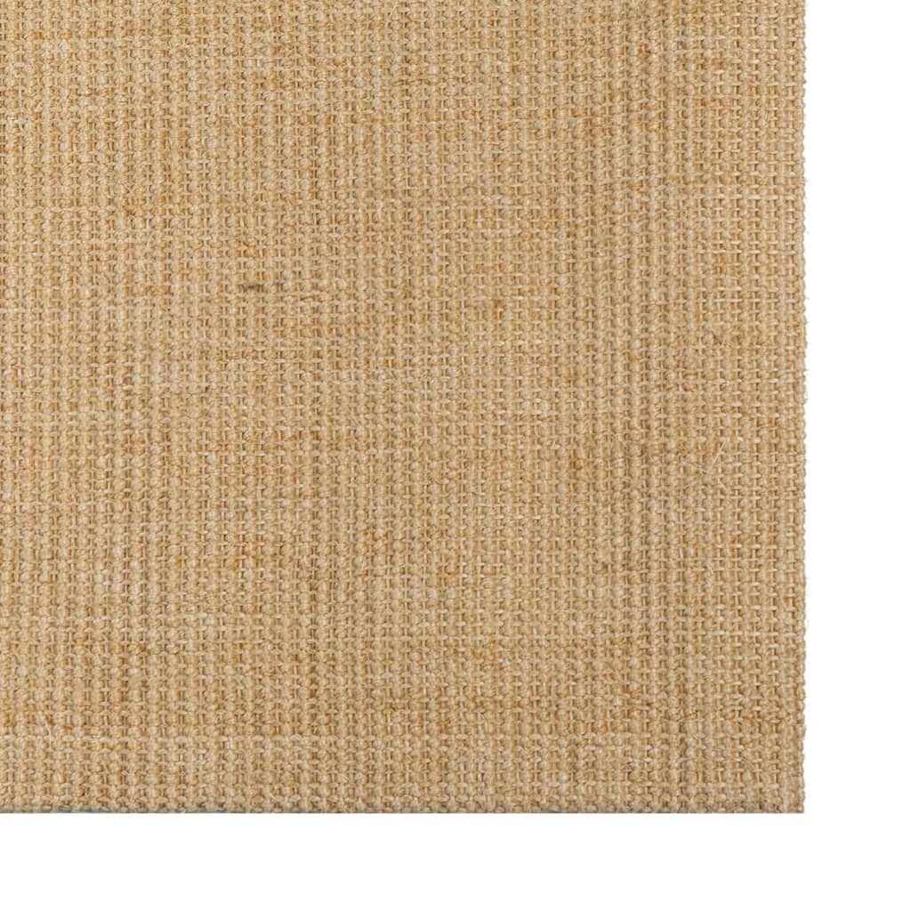 Vidaxl Rug 66x100 cm Natural Sisal