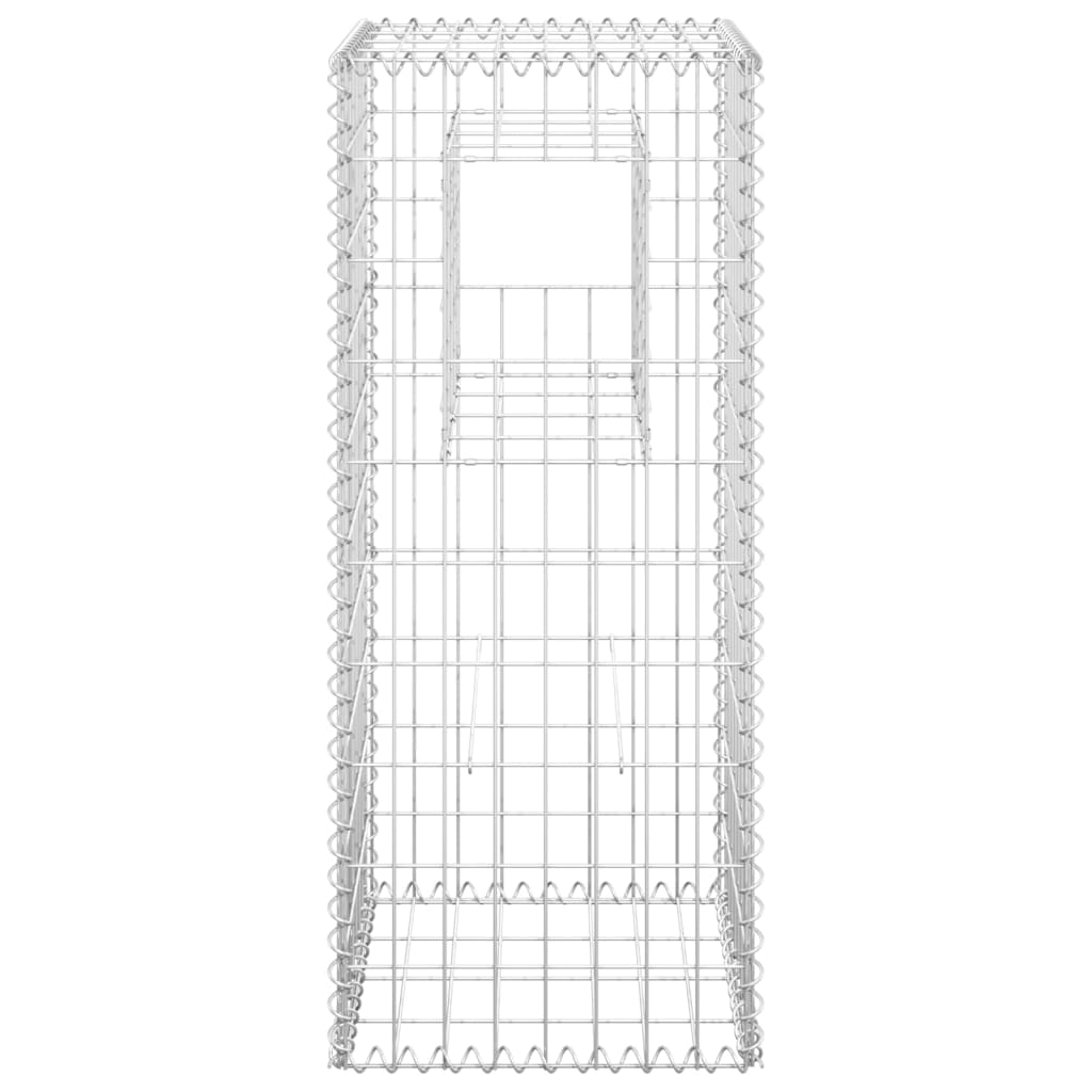 Vidaxl shananskorf Pole 40x4xx100 cm Eisen