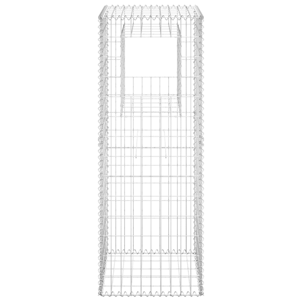 Vidaxl scananskorf pol 50x50x140 cm Eisen