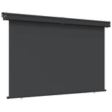 Vidaxl Balkon Bildschirm 175x250 cm schwarz