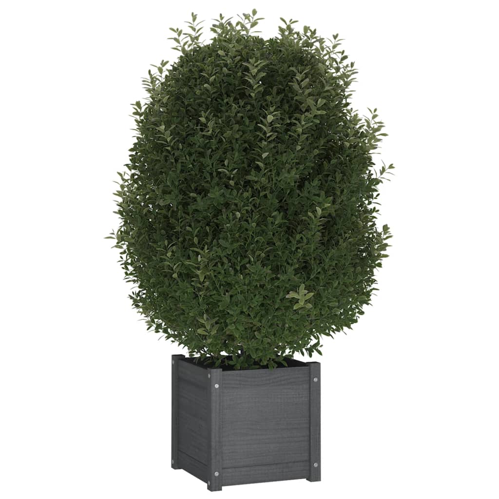 Vidaxl Planters 2 St 40x40x40 cm Solid Pine Grey