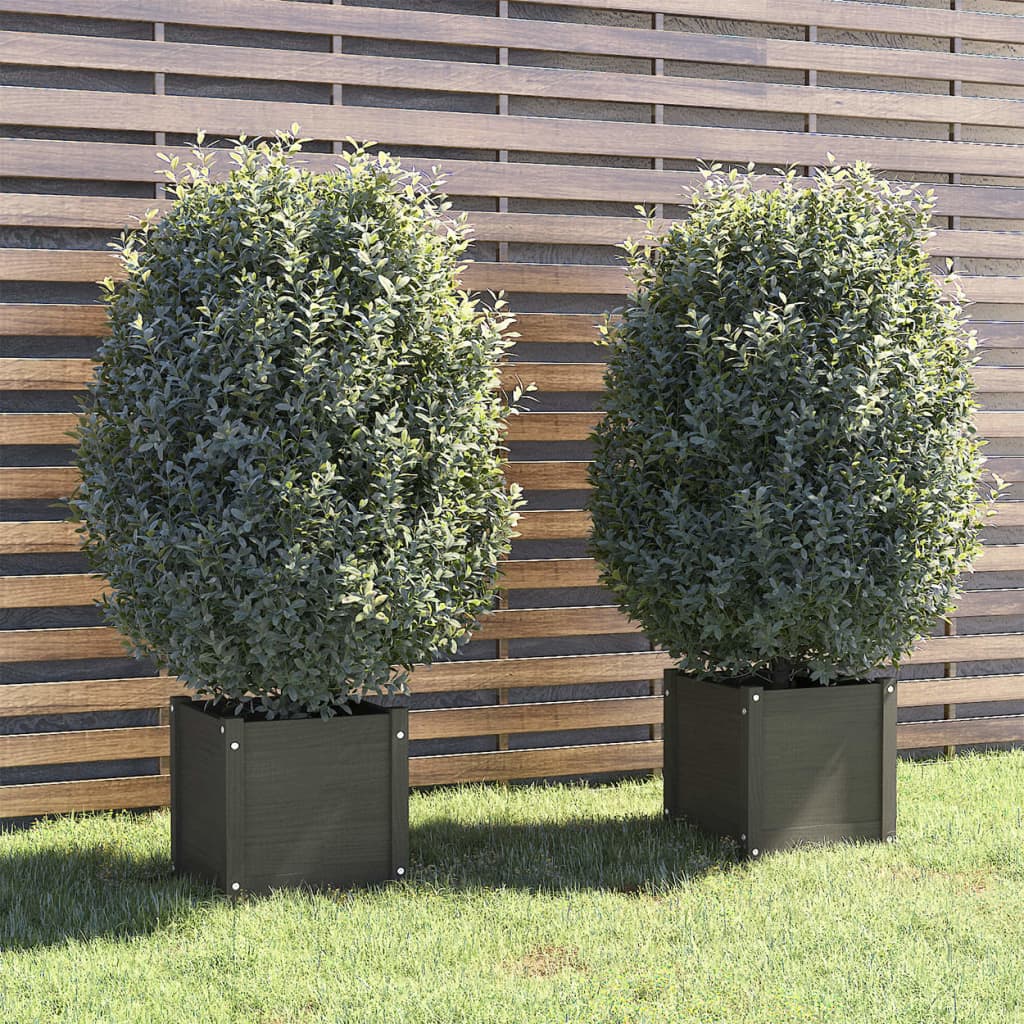 Vidaxl Planters 2 St 40x40x40 cm Solid Pine Grey