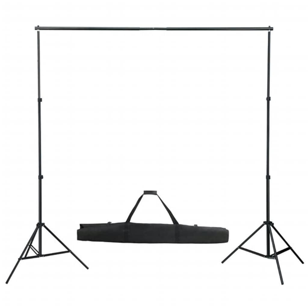 Vidaxl Photo Studio Set con set di illuminazione, sfondo e riflettore