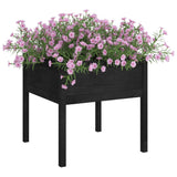 Vidaxl Planters 2 St 70x70x70 cm Solid Pine Black