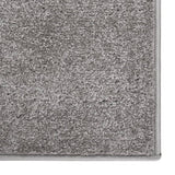 Vidaxl rug Kortpolig 80x150 cm Grau