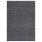 Tapis vidaxl lavable à pôle court antidérapant 120x170 cm anthracite