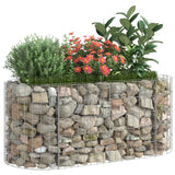 Vidaxl Gabion Fiorter ha raccolto ferro zincato da 120x50x50 cm