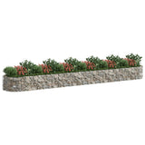 Vidaxl Gabion Planter hævede 600x100x50 cm galvaniseret jern