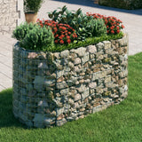 Vidaxl Gabion Fiorter ha aumentato il ferro zincato 200x100x100 cm