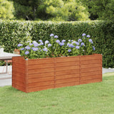 Vidaxl Planter huet 240x80x77 cm corden Stahl Rust