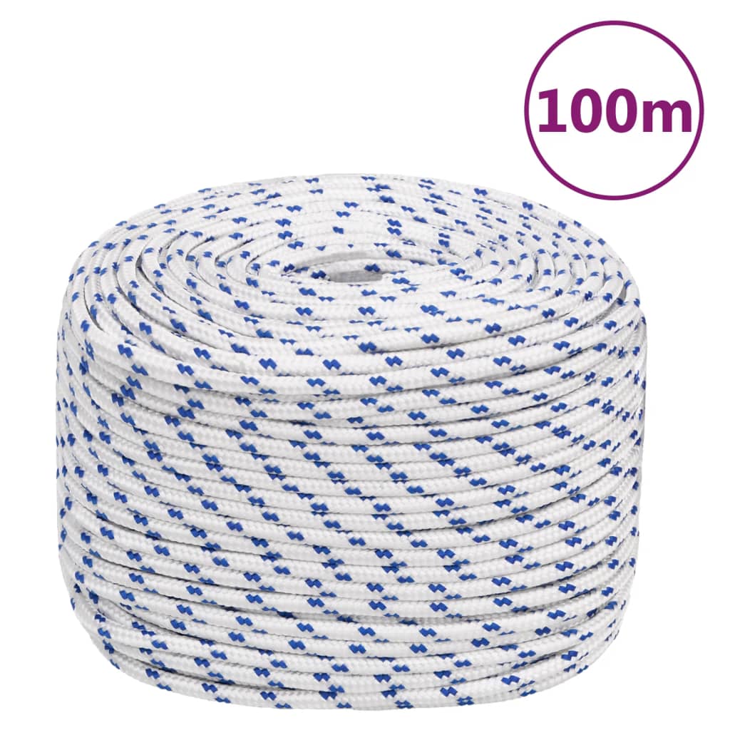 Corde à démarrage Vidaxl 10 mm 100 m de polypropylène blanc