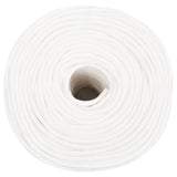 Vidaxl Boat Rope 6 mm 500 m Polypropilene Full White