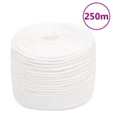 Corde de bateau vidaxl 10 mm 250 m en polypropylène plein blanc