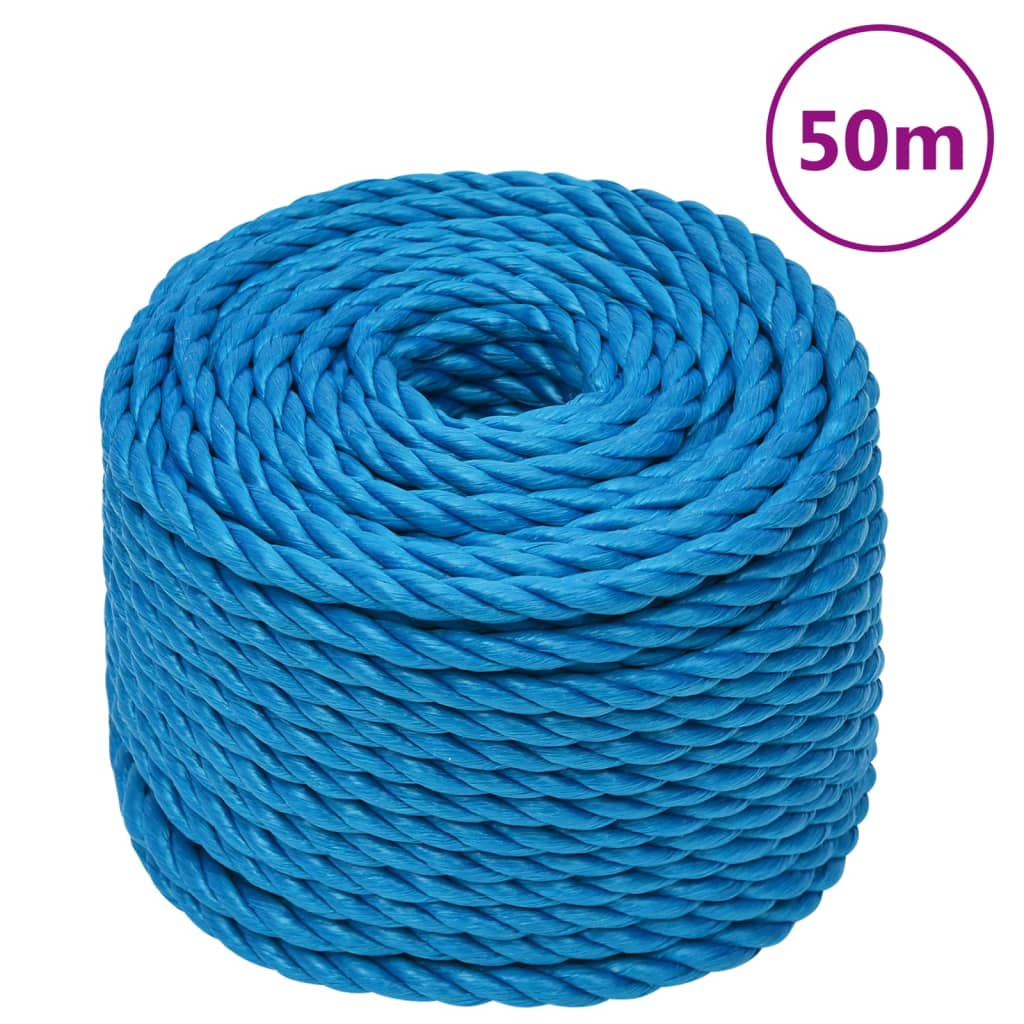 Vidaxl Werkouw 20 mm 50 m Polypropene Blue