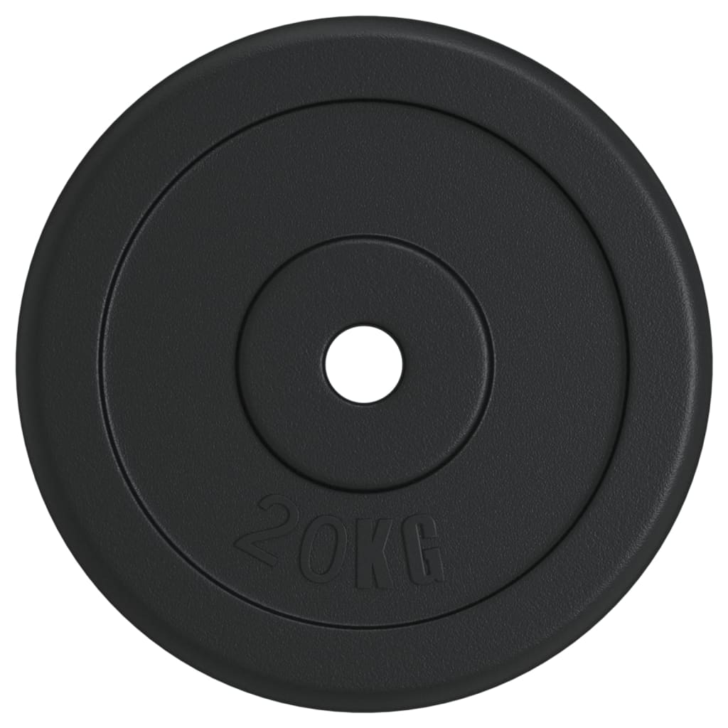 Vidaxl Halter disc 20 kg cast iron