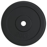 Vidaxl Halter disc 20 kg cast iron