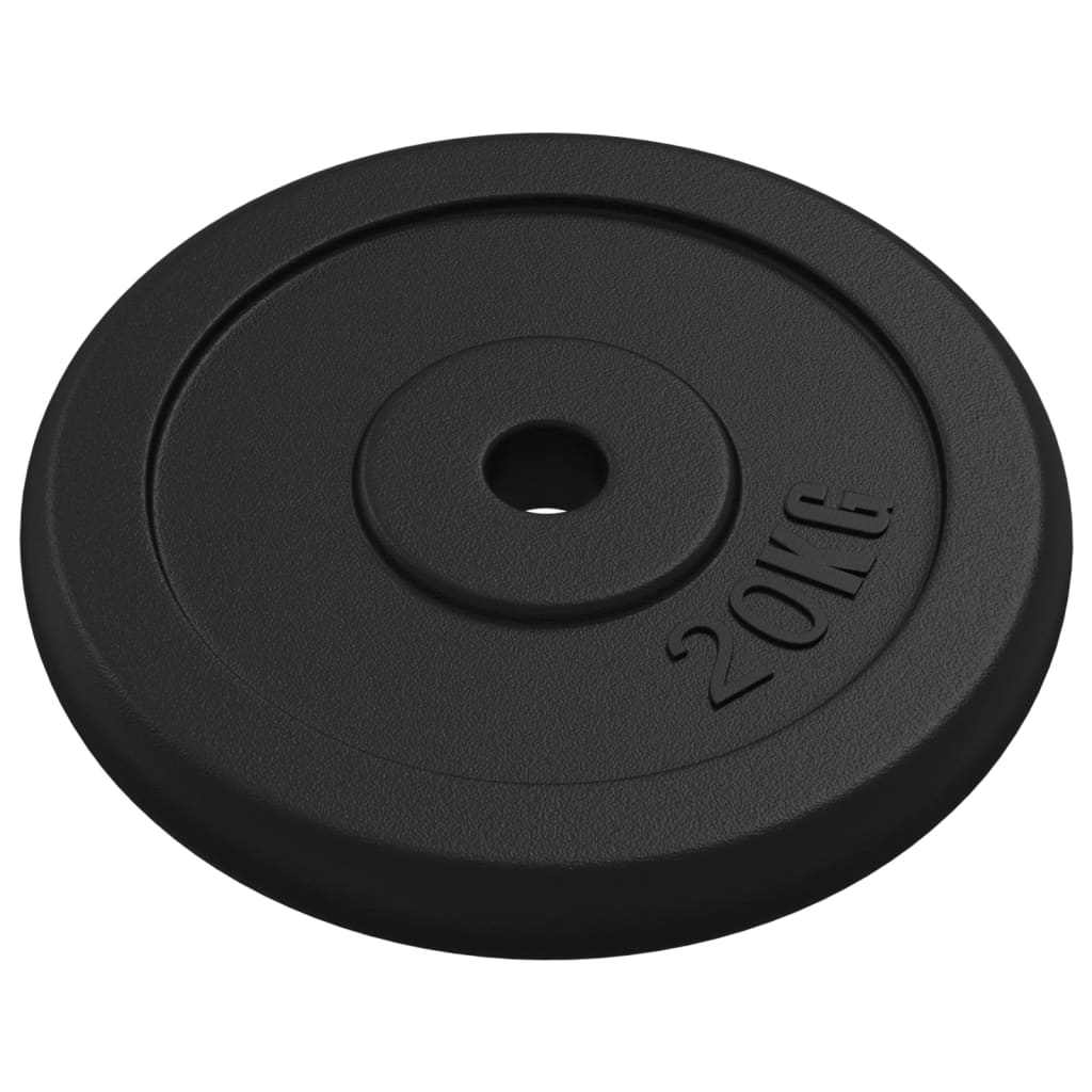 Vidaxl Halter disc 20 kg cast iron