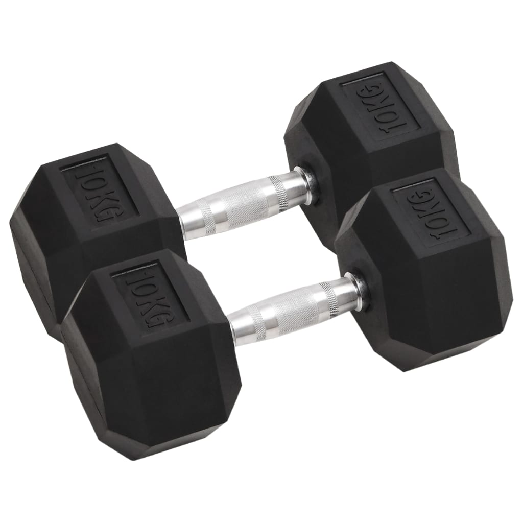 Vidaxl halkers 2 st 20 kg en fonte