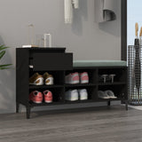 Vidaxl Shoe Cabinet 102x36x60 cm Property Wood Black