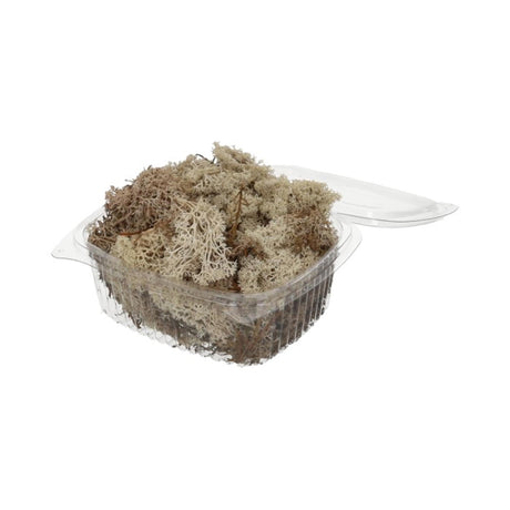 HBx természetes élő rénszarvasmoha 50gr fehér
