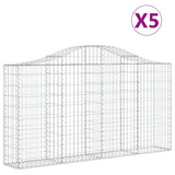 Vidaxl Schans Körbe 5 ST Gewölbe 200x30x100 120 cm Eisen