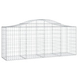 VidaXL Schans baskets 2 st vaulted 200x50x80 100 cm galvanized iron