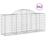 VidaXL Schans baskets 12 st vaulted 200x50x80 100 cm iron