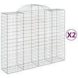 VidaXL Schans baskets 2 ST vaulted 200x50x160 180 cm iron