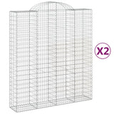 VidaXL Schans baskets 2 ST vaulted 200x50x220 240 cm iron