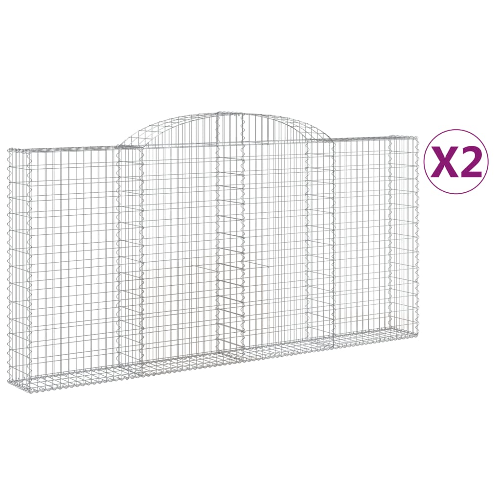 VidaXL Schans baskets 2 ST vaulted 300x30x140 160 cm iron