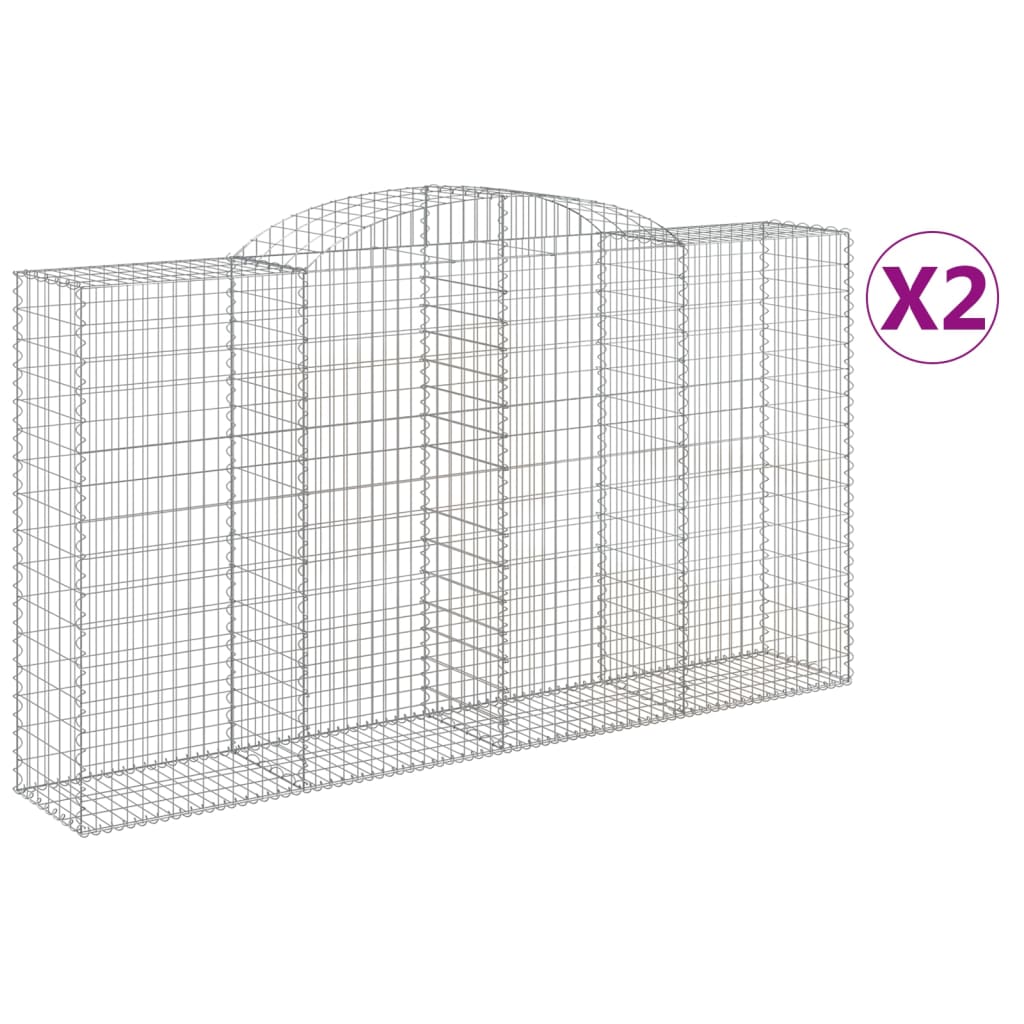 VidaXL Schans baskets 2 ST vaulted 300x50x160 180 cm iron