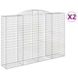 VidaXL Schans baskets 2 ST vaulted 300x50x200 220 cm iron