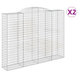 VidaXL Schans baskets 2 ST vaulted 300x50x220 240 cm iron