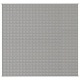 VIDAXL FAIBLAGE COUVERTURE 220X235 cm 15 kg tissu gris