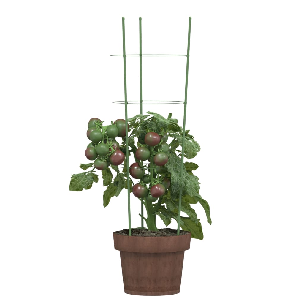 Vidaxl Plantrests 5 st with 3 rings 60 cm steel green