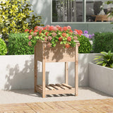 Vidaxl Planter med hylle 54x54x81 cm Solid furu