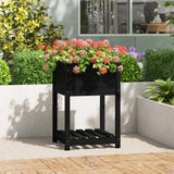 Vidaxl Planter med hylle 54x54x81 cm Solid Pine Pine Black