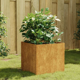 Vidaxl Planning Box 40x41x40 cm Corten Steel