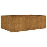 Sadzarka vidaxl podniesiona 120x80x40 cm Corten Steel