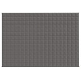 VIDAXL FAIBLAGE COUVERTURE 137X200 cm 10 kg de gris de tissu