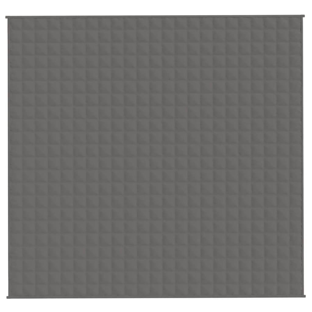 VIDAXL Coperta debole 220x230 cm 11 kg Fassoso grigio