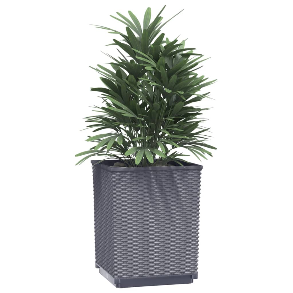 Vidaxl Planters 2 st 30x30x37 cm Polypropene dark gray