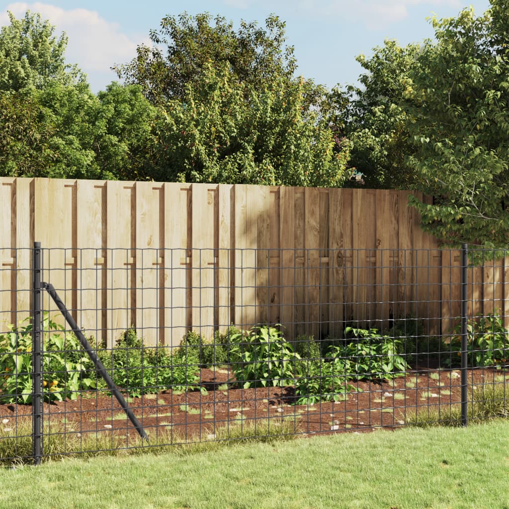 Fence a rete filo Vidaxl con flangia 0,8x25 M di colore antracite