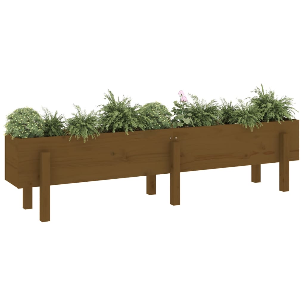 VidaXL Planter raised 160x30x38 cm Solid pine honey brown