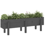 Vidaxl Planter hevet 121x30x38 cm Solid furugrå