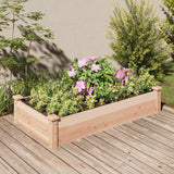 Vidaxl Planter hævet med foring 120x60x25 cm fast fyrretræ