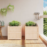 Jardinières vidaxl 2 pc cm solide