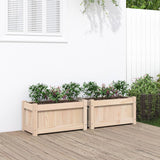 Jardinières vidaxl 2 pc cm solide