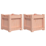 Vidaxl Planters 2 PCS TOLID DOUGLASHOUT