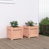 Vidaxl Planters 2 PCS TOLID DOUGLASHOUT